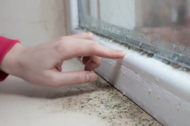 Best Residential Mold Inspection & Testing  in Monticello, FL