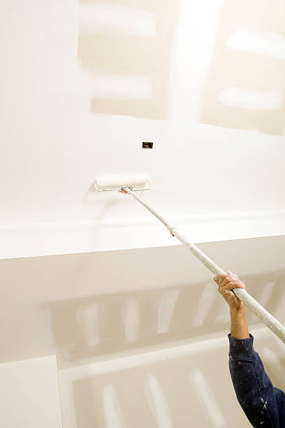 Best Mold Damage Restoration  in Monticello, FL