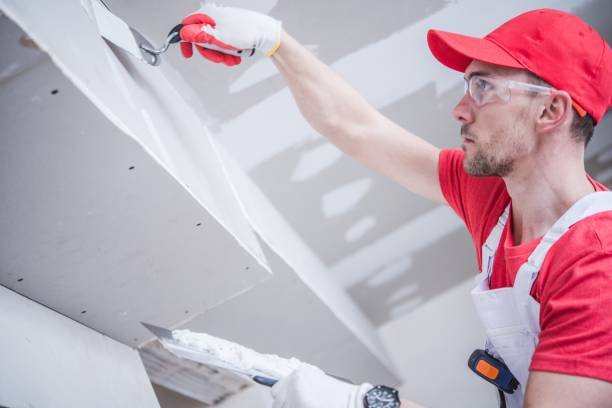 Asbestos and Lead Testing During Mold Inspection in Monticello, FL
